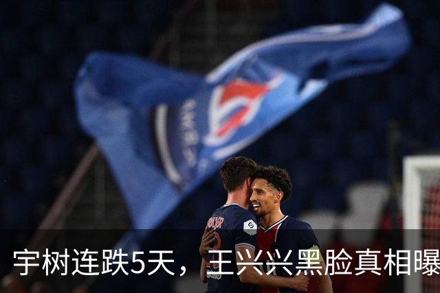 宇树连跌5天，王兴兴黑脸真相曝光，被“绑架”三年，成了开胃菜