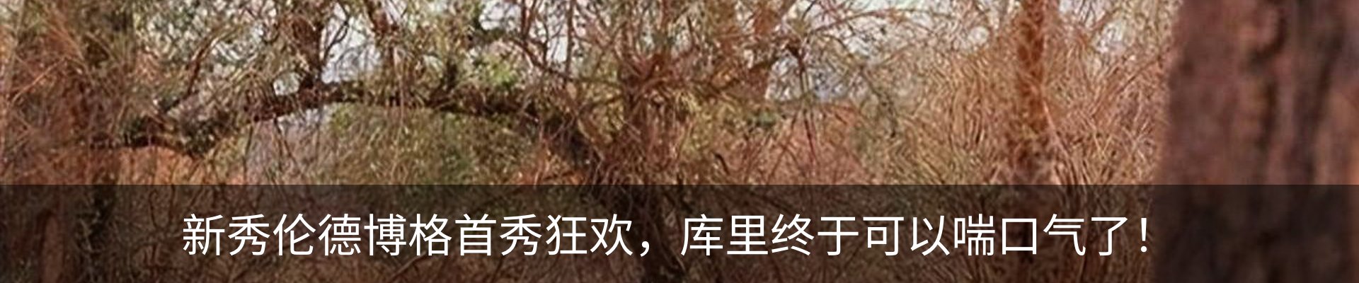 新闻中心
