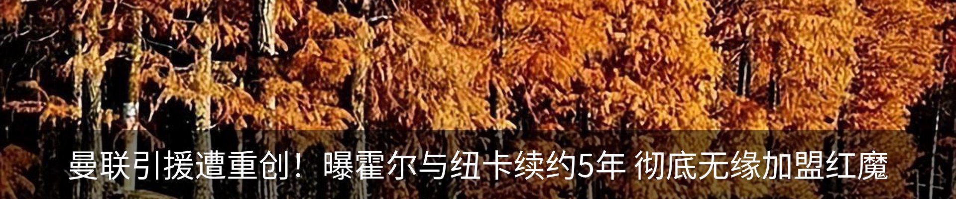 新闻中心