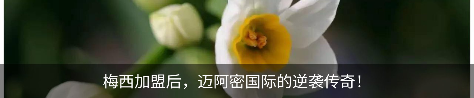 新闻中心